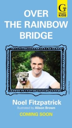 Over the Rainbow Bridge