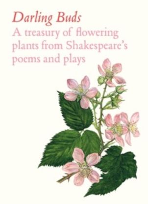 Darling Buds