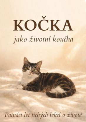 Kočka jako životní koučka