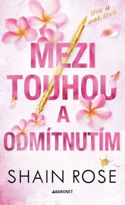 Mezi touhou a odmítnutím - Hardy Billionaire Brothers 4
