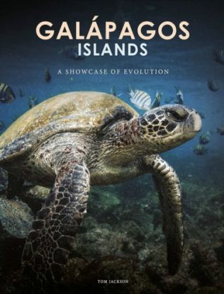 Galapagos Islands