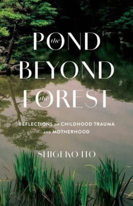 Pond Beyong the Forest