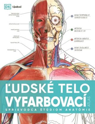 Ľudské telo - vyfarbovací atlas