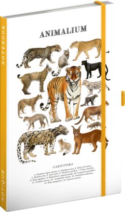 NOTIQUE Notes Animalium – Mačkovité šelmy, linkovaný, 13 x 21 cm