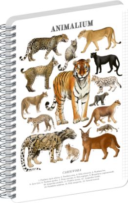 NOTIQUE Spirálový blok Animalium – Kočkovité šelmy, čtverečkovaný, A5