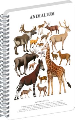 NOTIQUE Spirálový blok Animalium – Sudokopytníci, čistý, A5