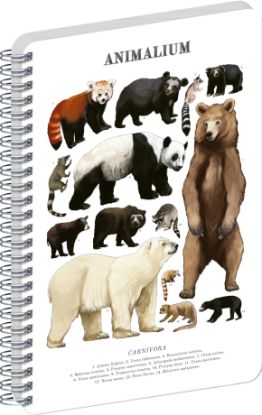 NOTIQUE Spirálový blok Animalium – Medvědovité šelmy, čistý, A4