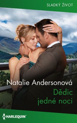 Dědic jedné noci