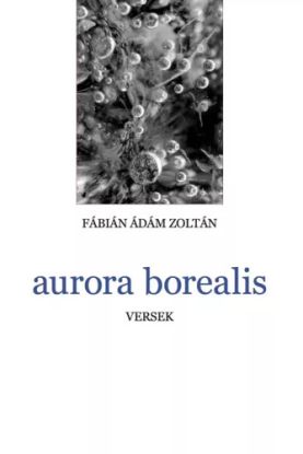 aurora borealis