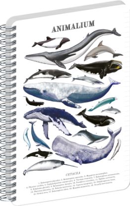 NOTIQUE Spirálový blok Animalium – Pod mořem, linkovaný, A5