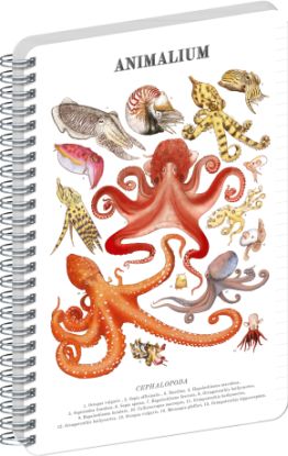 NOTIQUE Spirálový blok Animalium – Hlavonožci, linkovaný, A5