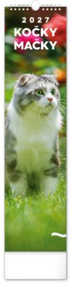NOTIQUE Nástenný kalendár Mačky 2027, 12 x 48 cm