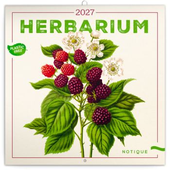 NOTIQUE Poznámkový kalendár Herbár 2027, PLASTIC FREE, 30 x 30 cm