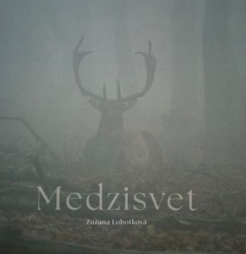 Medzisvet