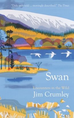 Swan