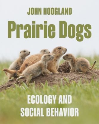 Prairie Dogs – Ecology and Social Behavior