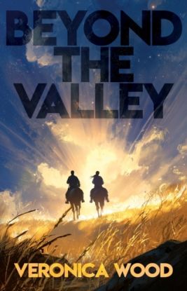 Beyond the Valley