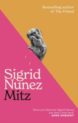 Mitz
