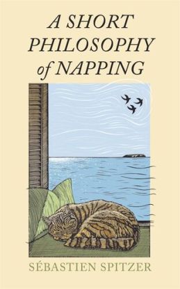 A Short Philosophy of Napping