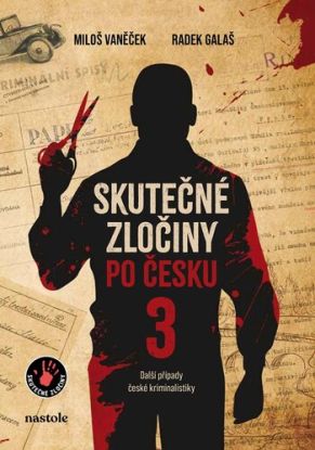 Skutečné zločiny po česku 3