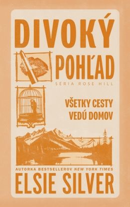 Divoký pohľad