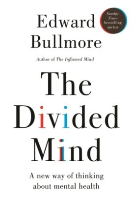 The Divided Mind