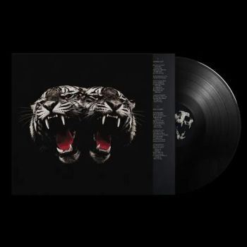 Royal Blood - Dead Company LP