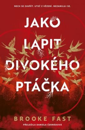 Jako lapit divokého ptáčka