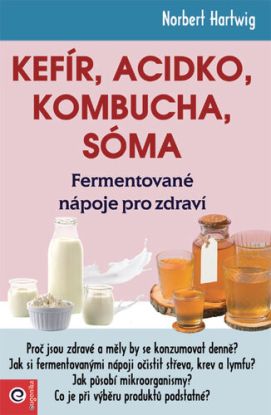 Kefír, Acidko, kombucha, sóma