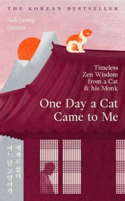 One Day a Cat Came to Me