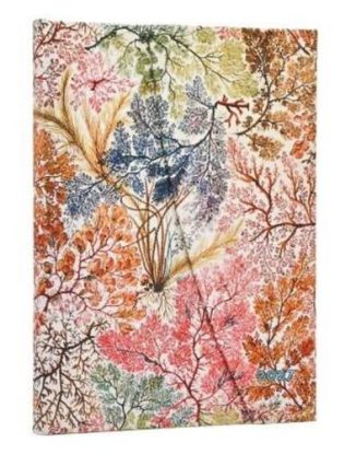 Diár Paperblanks 2027  Anemone Midi HOR