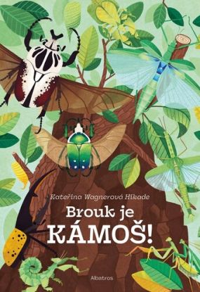 Brouk je kámoš - příručka pro chovatele