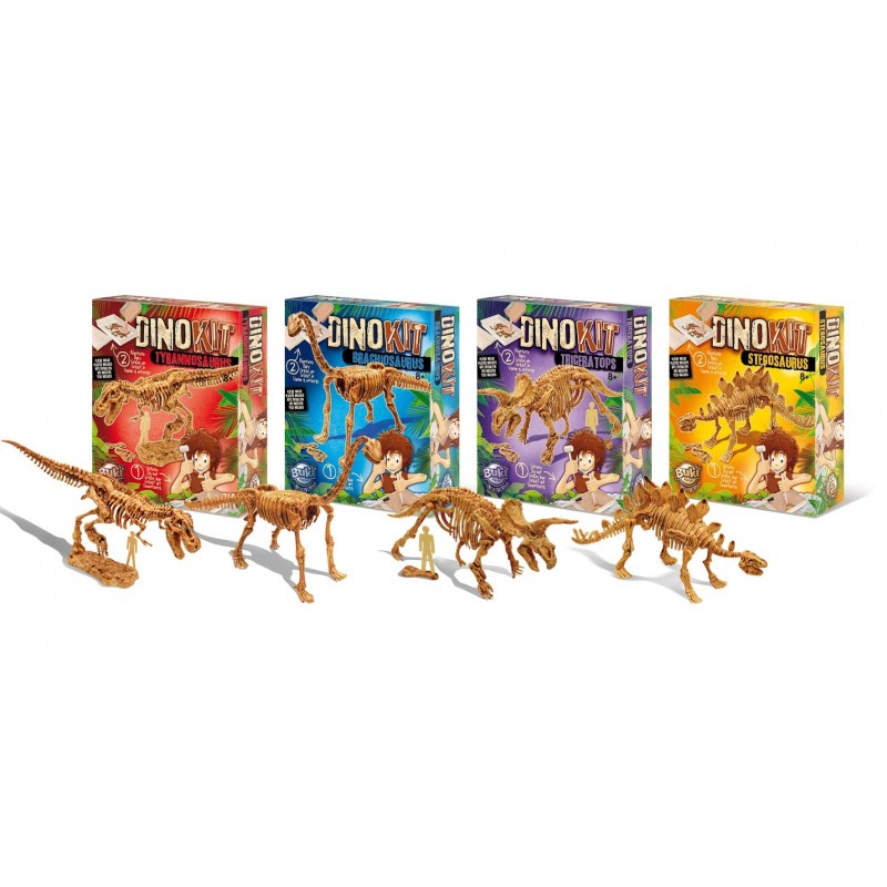 Výkop dinosaurov Brachiosaurus