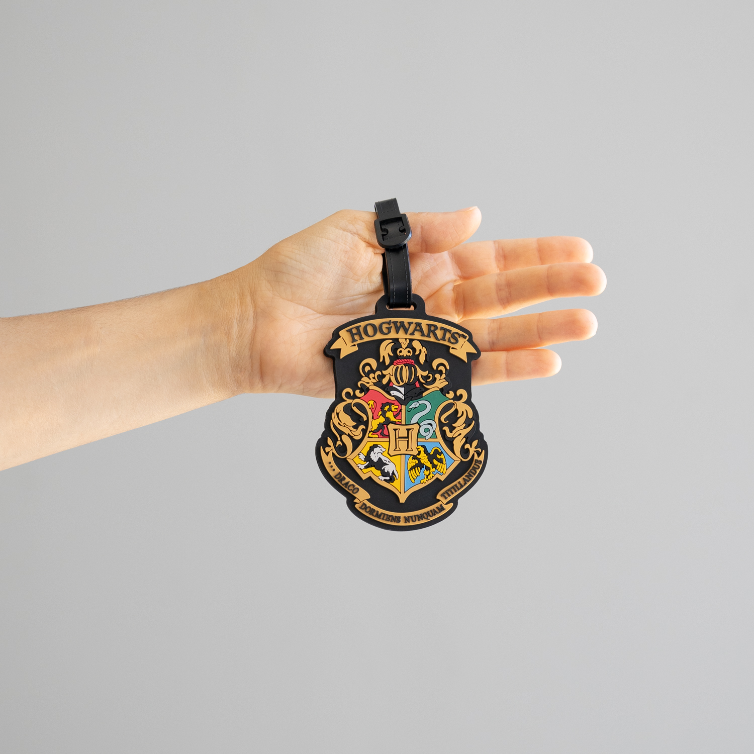 HARRY POTTER CESTOVNÝ ŠTÍTOK ROKFORT