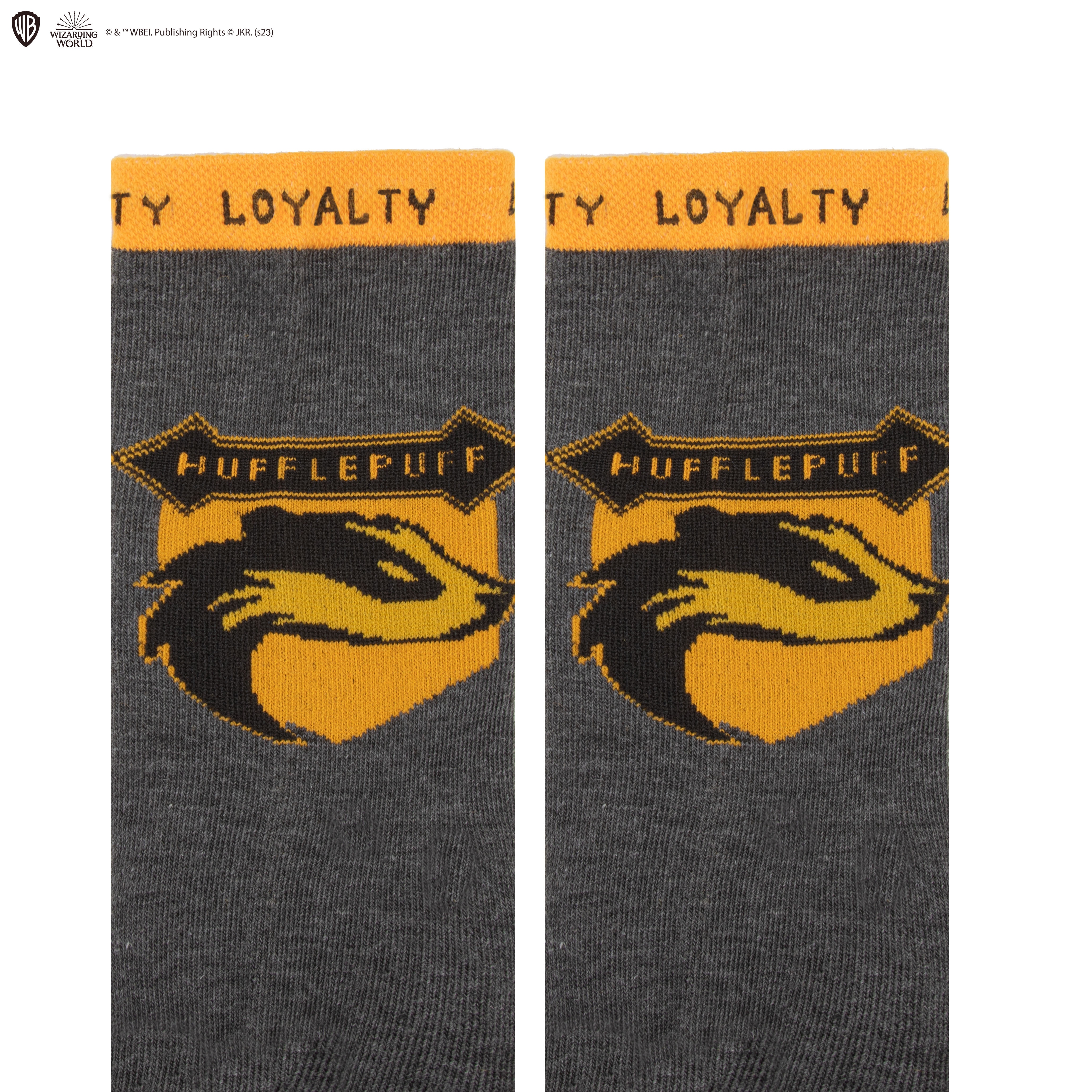Kapsula Harry Potter Ponožky Bifľomor