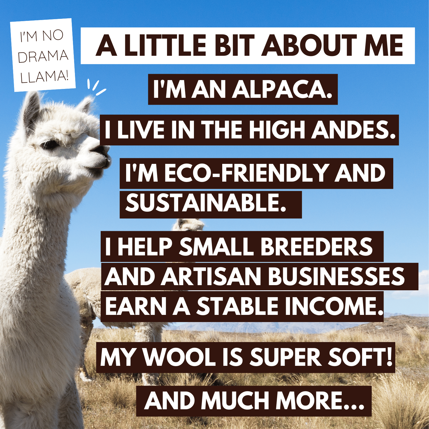 Plyšová hračka Alpaca MEDIUM – COTTON CANDY
