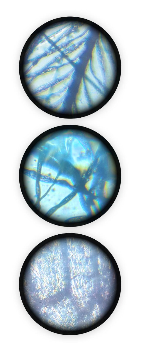 Mikroskop 15 experimentov -V2