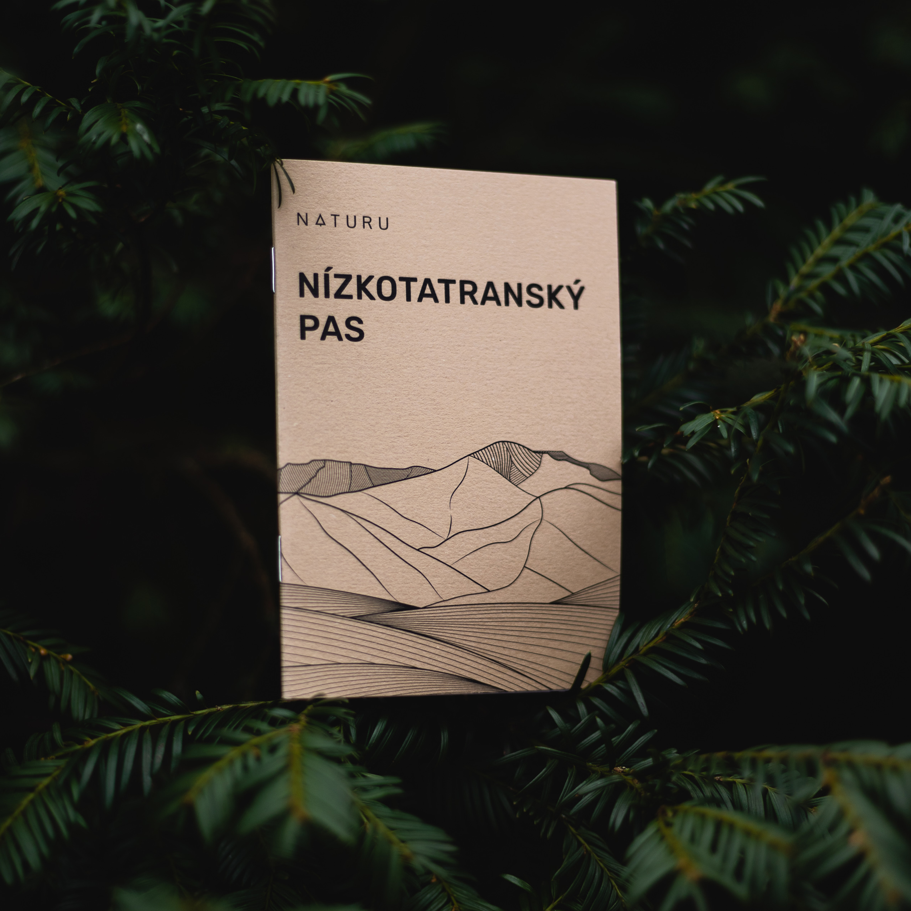 Nízkotatranský pas