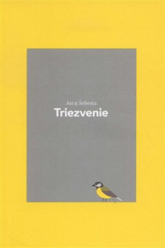 Literárna revue 13/2015