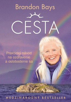 Brandon Bays: Cesta