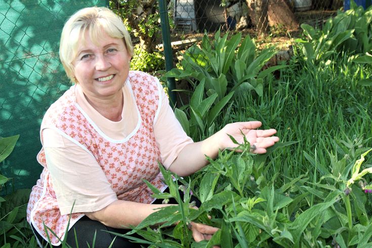 Anna Kopáčová