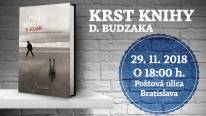 Dušan Budzak v Panta Rhei