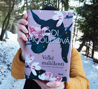 Jodi Picoultová: Veľké maličkosti