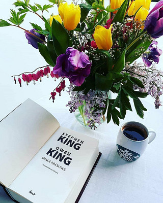 Stephen King, Owen King: Spiace krásavice