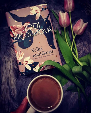Jodi Picoultová: Veľké maličkosti