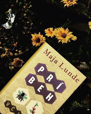 Maja Lunde: Príbeh včiel