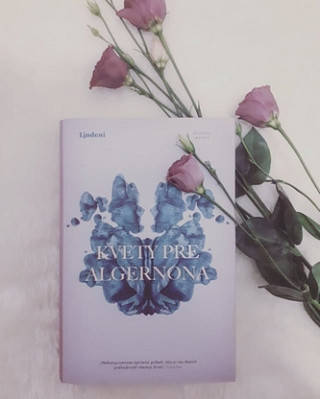 Daniel Keyes: Kvety pre Algernona