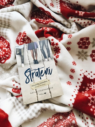 Gayle Forman: Stratení