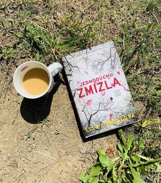 Lisa Jewellová: Jednoducho zmizla