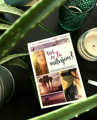 Estelle Maskame: Vieš, že ťa milujem? 